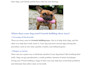 be your professional SEO optimized blog and article writer